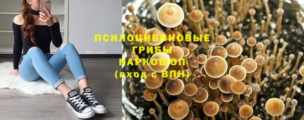 гашиш Арсеньев